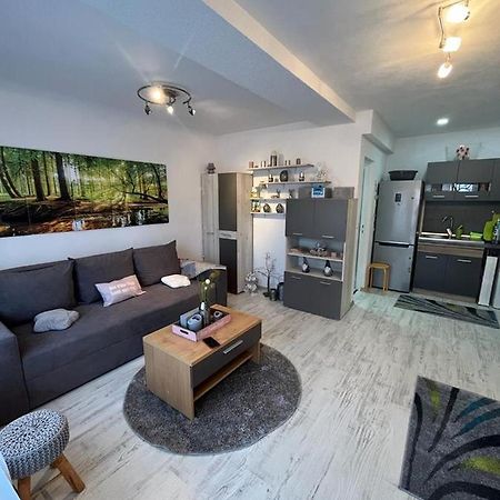 Apartament Acasa Sf.Gheorghe Sfântu Gheorghe Bagian luar foto