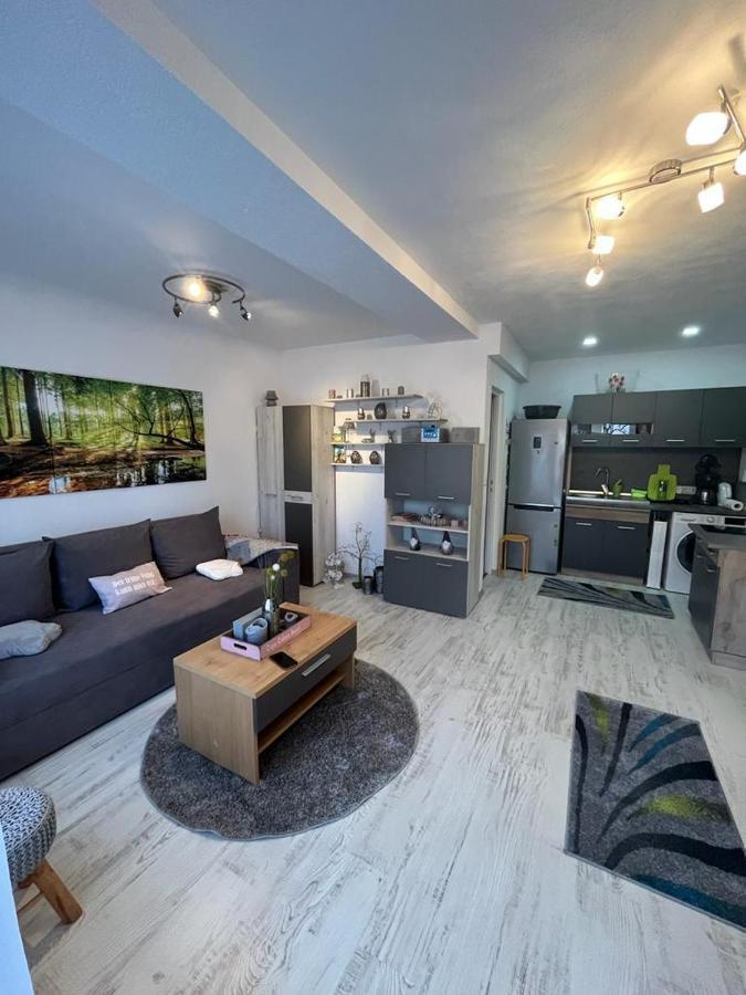 Apartament Acasa Sf.Gheorghe Sfântu Gheorghe Bagian luar foto